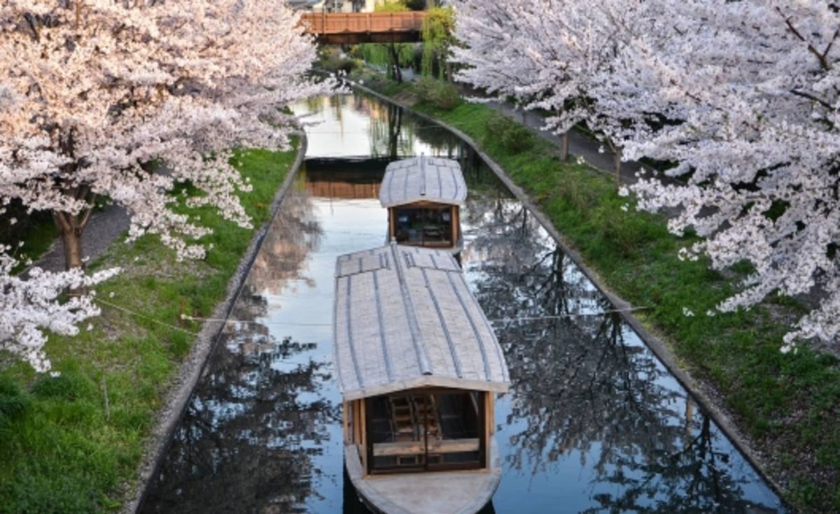 CIEE First Year Abroad in Kyoto