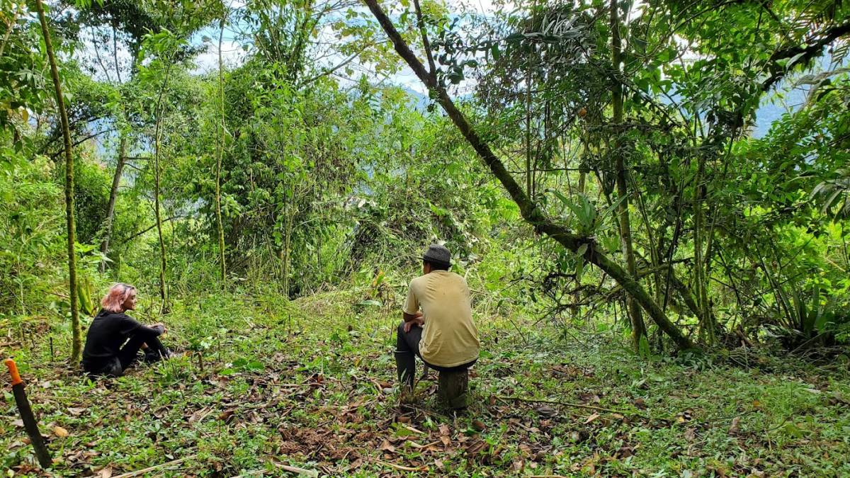 Cloud Forest Conservation Volunteering