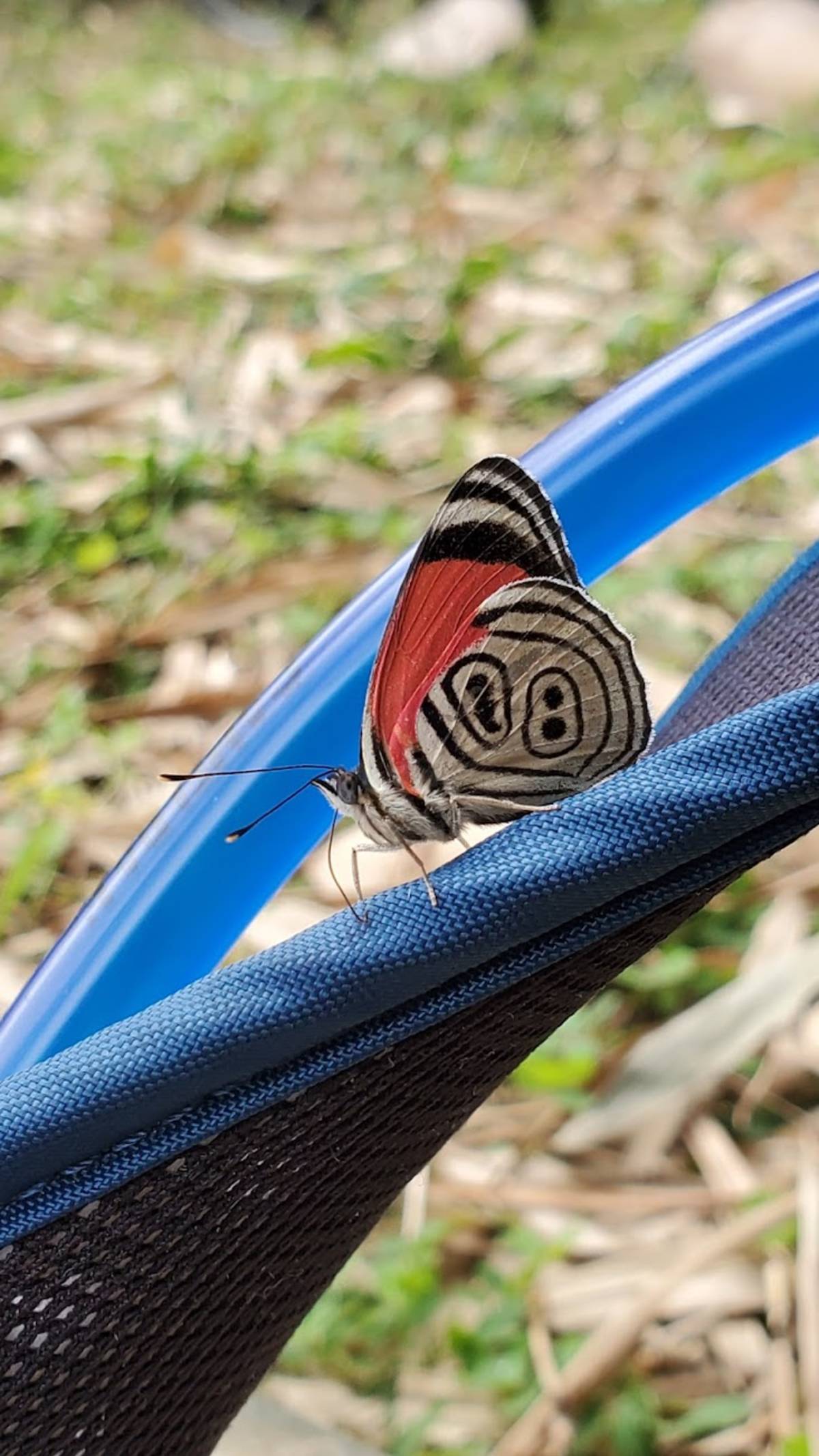 Cloud Forest Conservation Volunteering