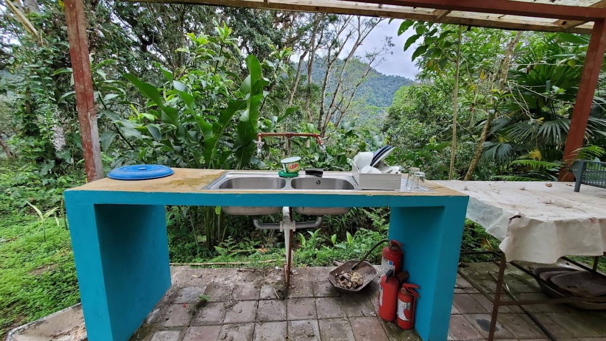 Cloud Forest Conservation Volunteering