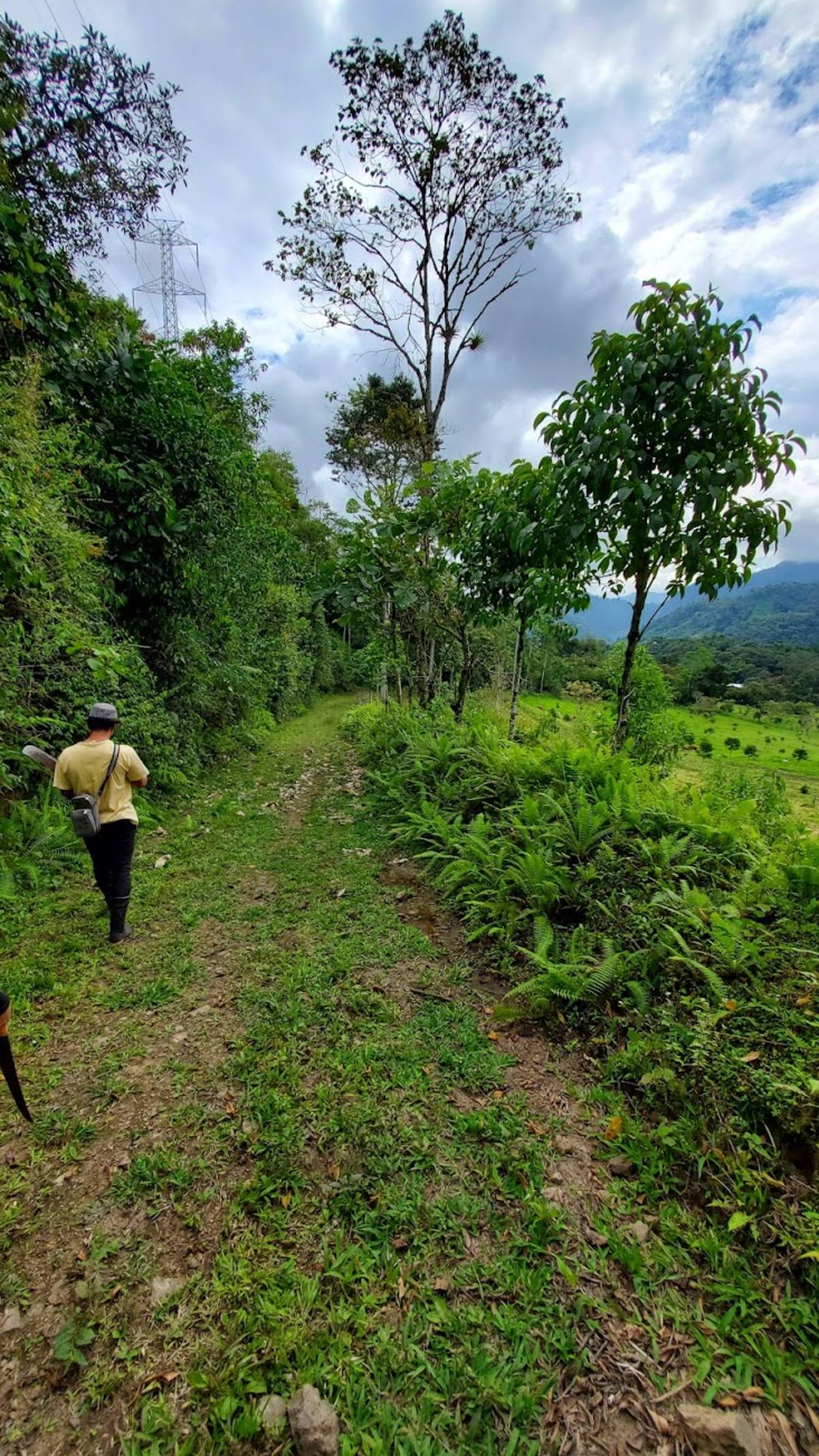 Cloud Forest Conservation Volunteering