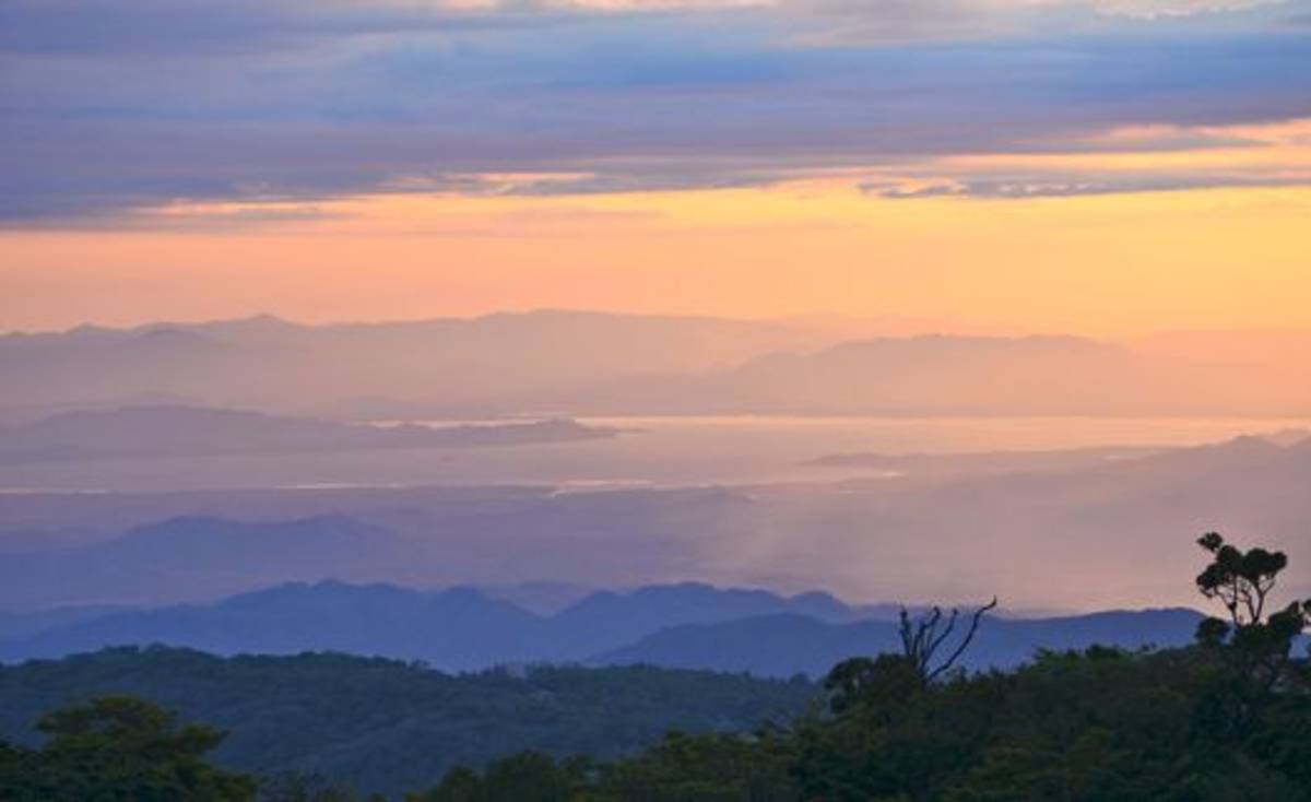 Cloud forest in Costa Rica at sunset