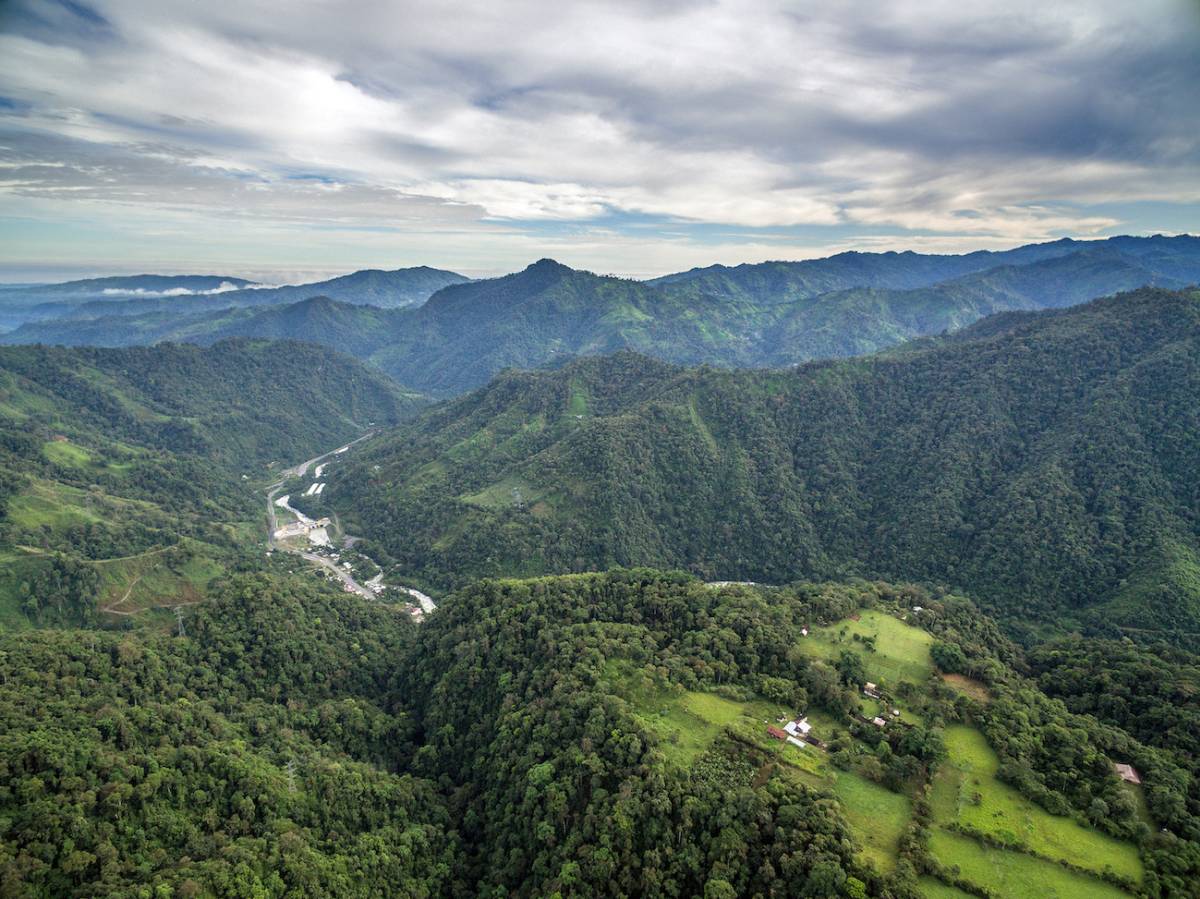 Cloud Forest  Research Internship in Ecuador