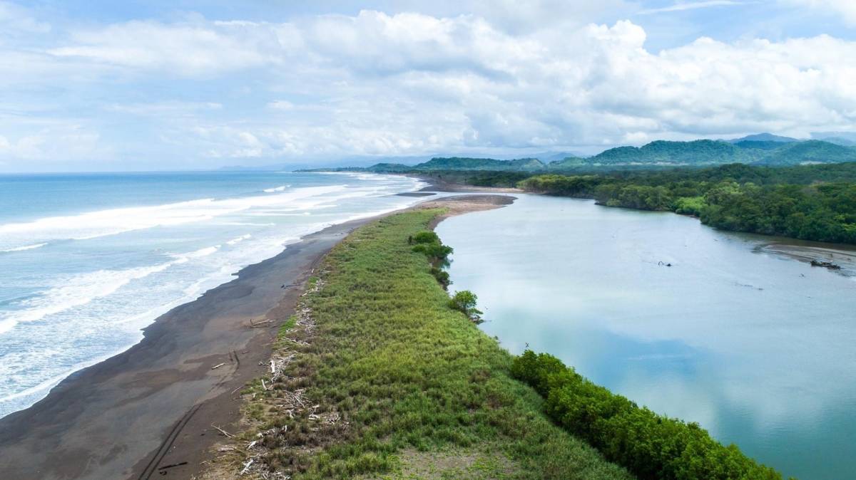 Conservation Marketing & Fundraising Internship in Costa Rica