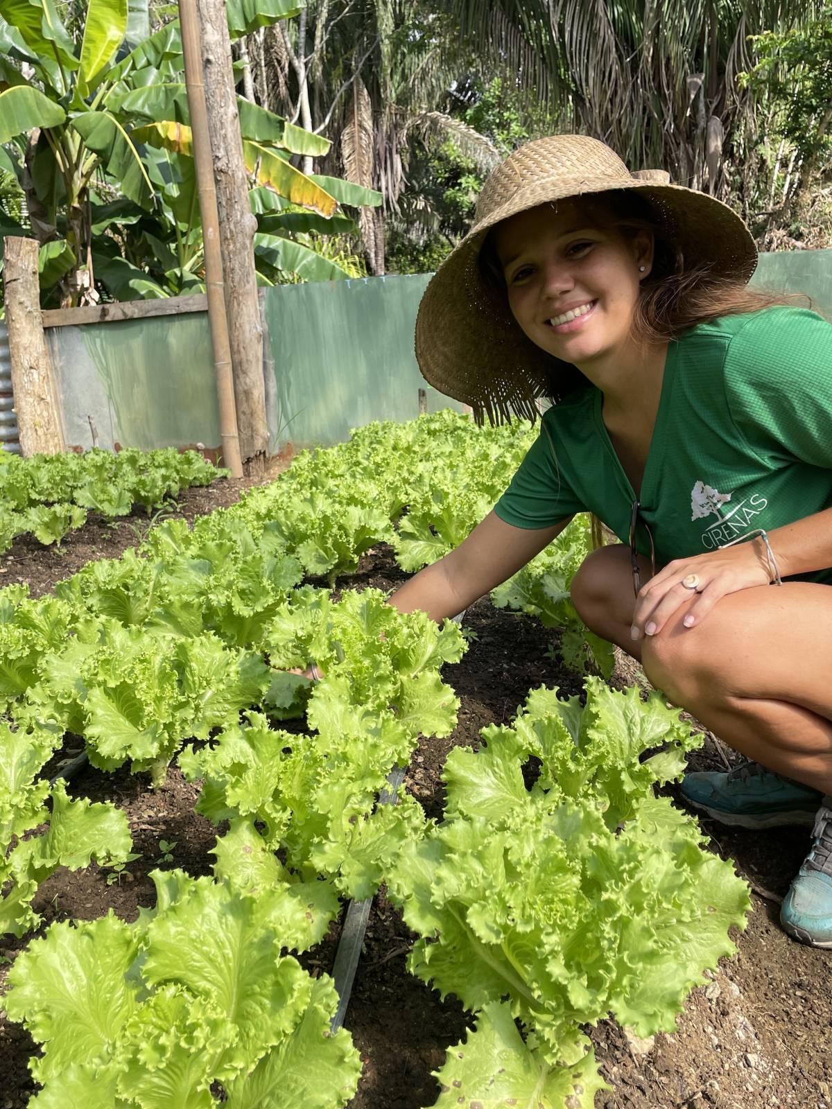 Conservation Marketing & Fundraising Internship in Costa Rica