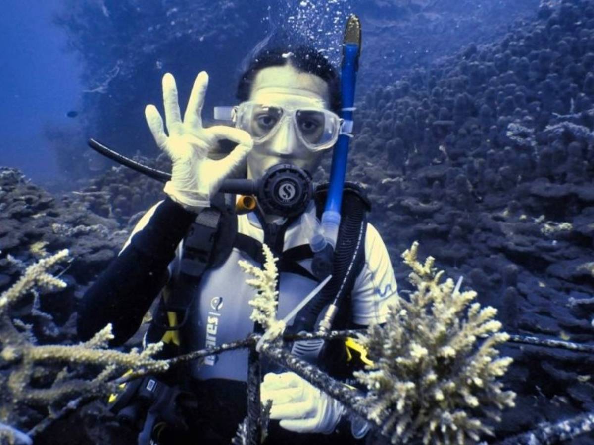 Coral Reef Restoration in Tanzania