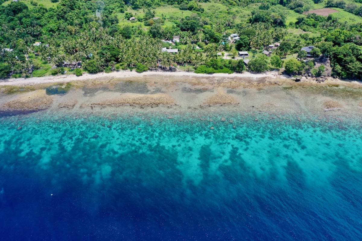 Coral reef