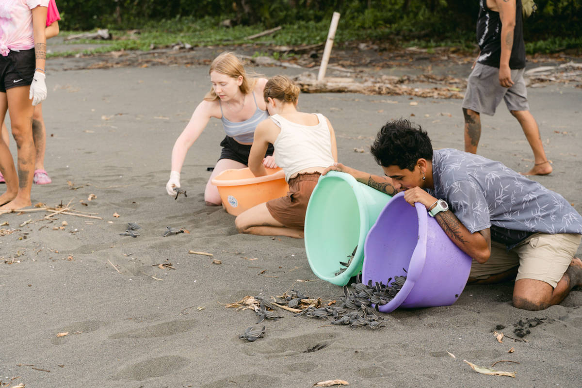 costa-rica-sea-turtle-conservation