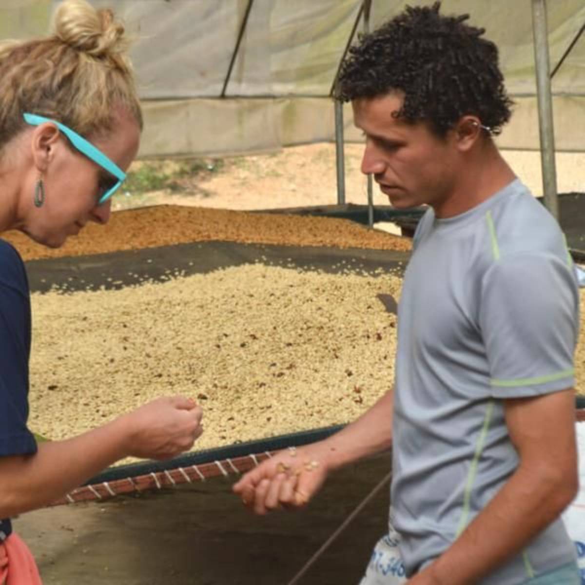 GoEco Costa Rica - Sustainable Organic Coffee Farming