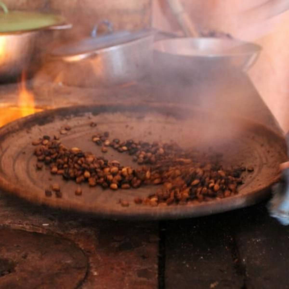 GoEco Costa Rica - Sustainable Organic Coffee Farming