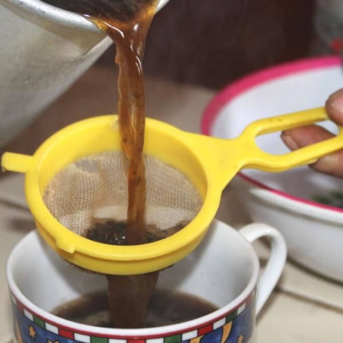 GoEco Costa Rica - Sustainable Organic Coffee Farming