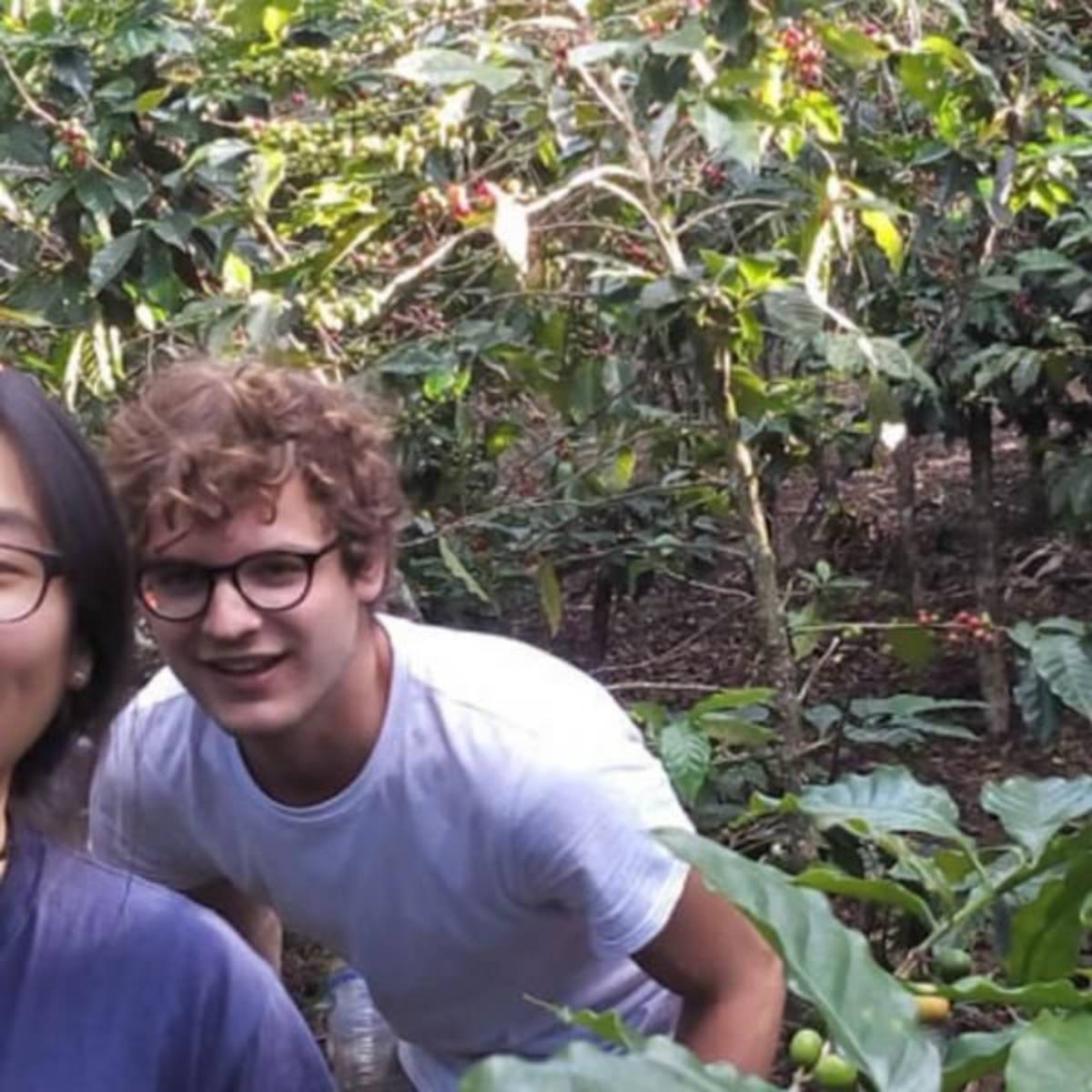 GoEco Costa Rica - Sustainable Organic Coffee Farming