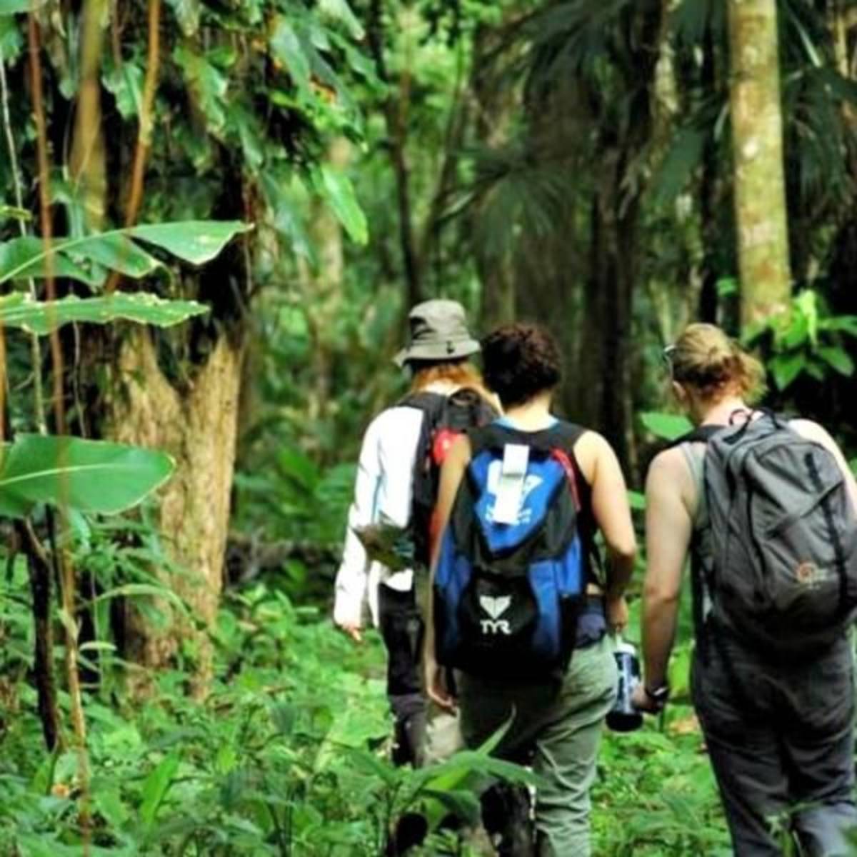 GoEco Community Involvement in Costa Rica –- Teen Volunteering