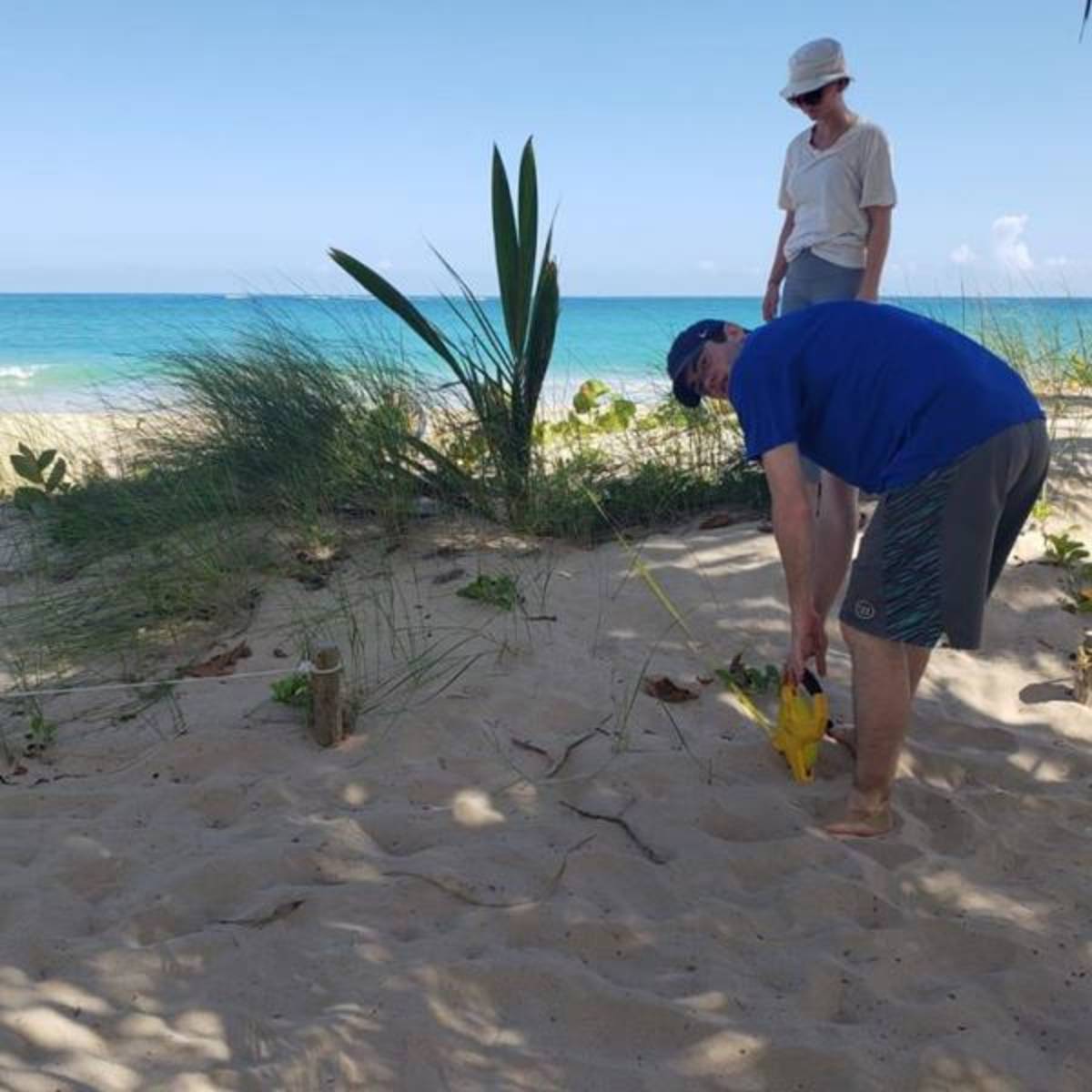 Volunteer in Puerto Rico with IVHQ