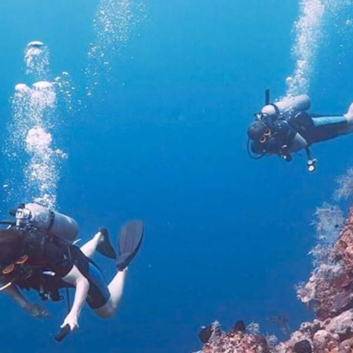 GoEco - Coral Conservation in Cuba