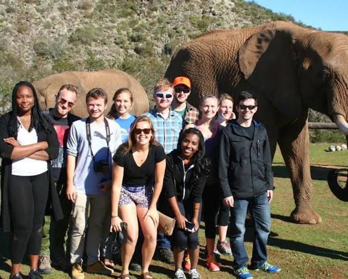 Volunteer in Cape Town