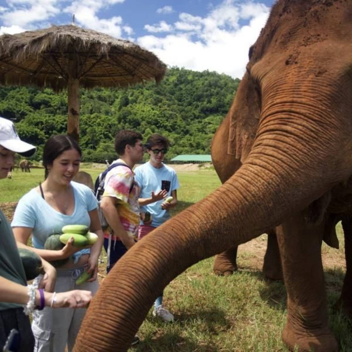 teens at elephant sanctuary thailand