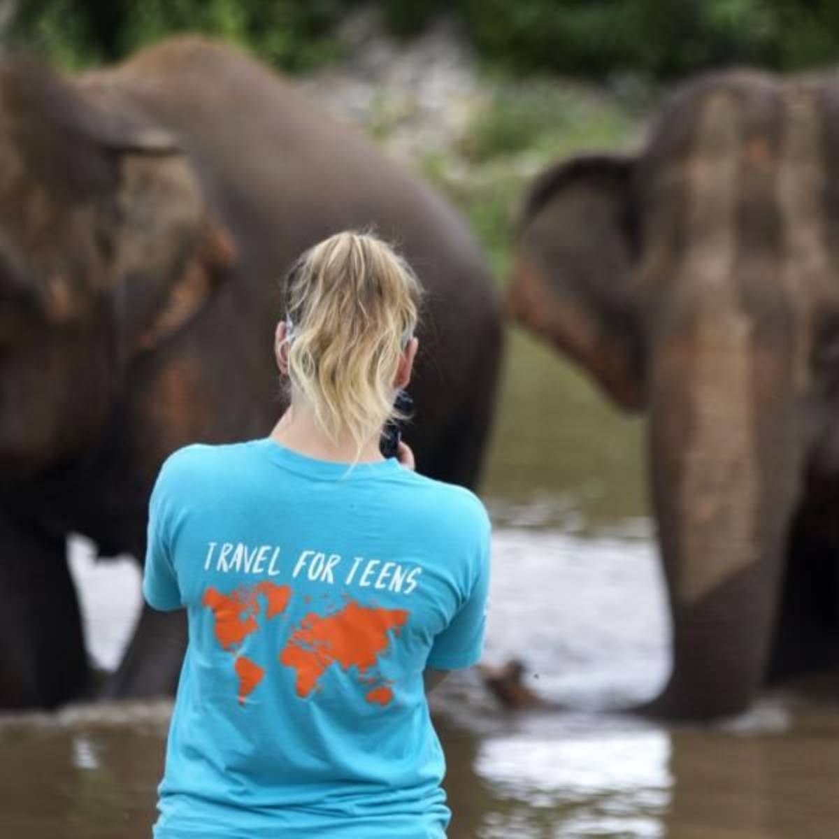 teenage girl taking a photo of elephants thailand