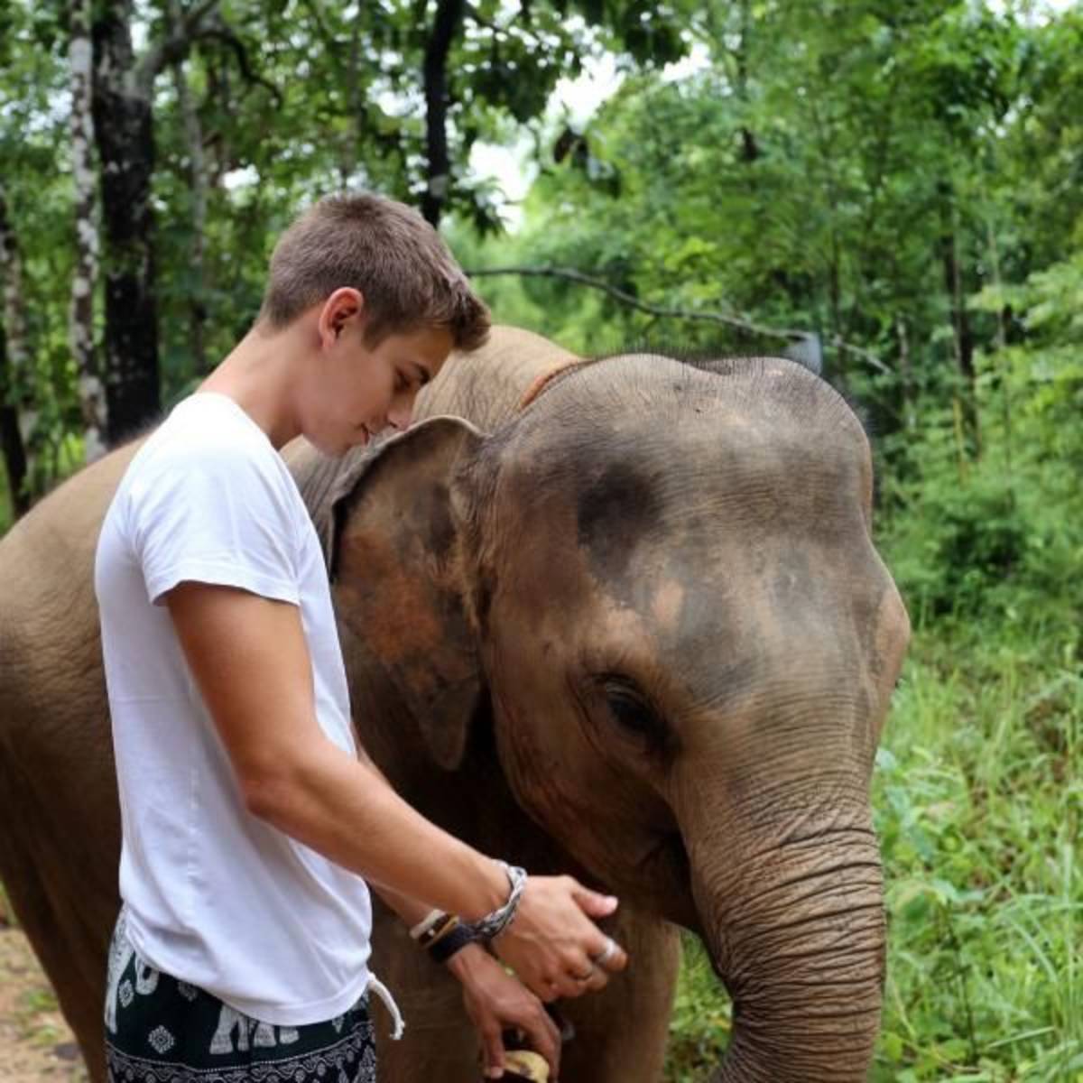 teenage boy petting a baby elephant thailand