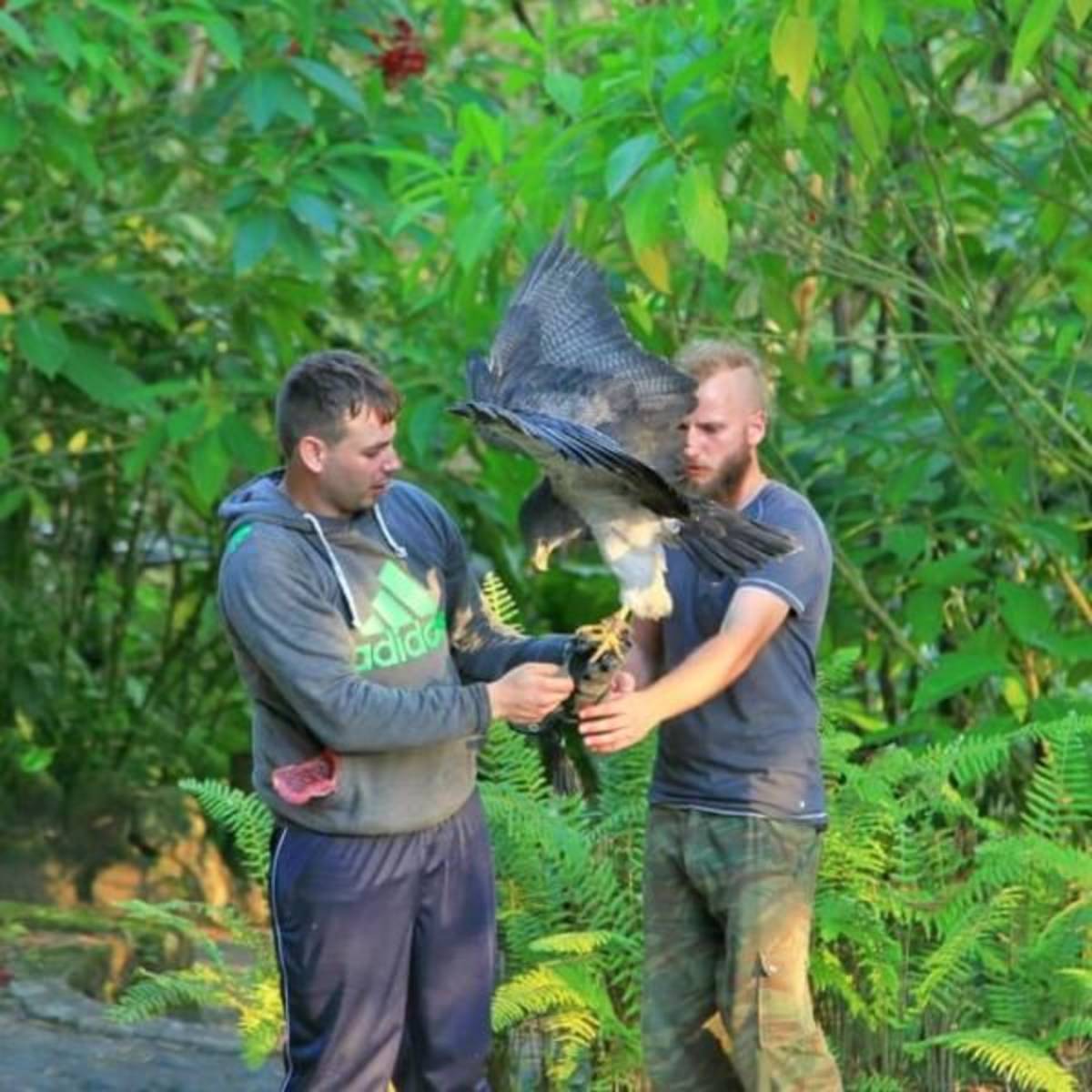 GoEco Ecuador - Wild Animal Rescue Shelter