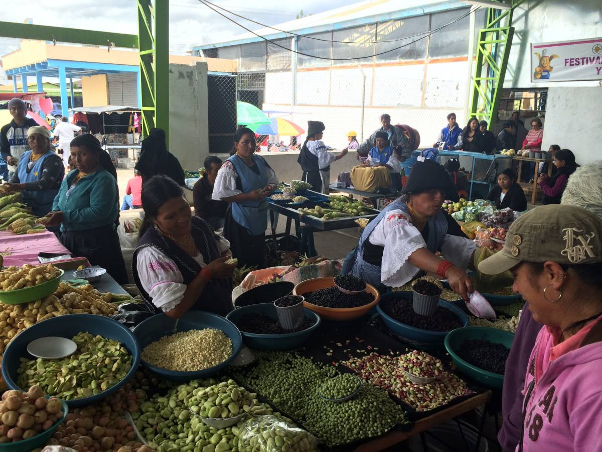 Ecuador Market