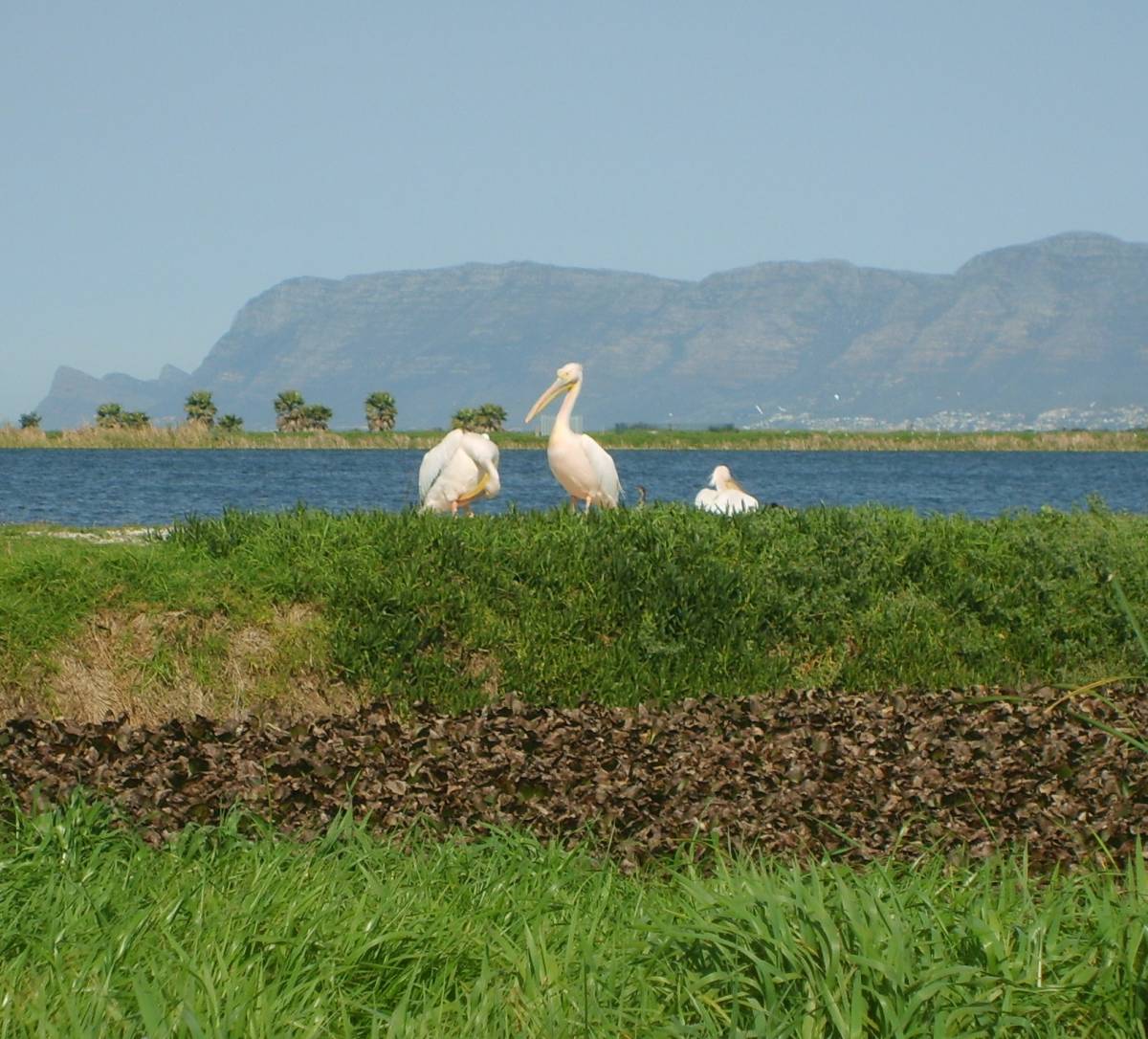 Environmental Protection Program in South Africa