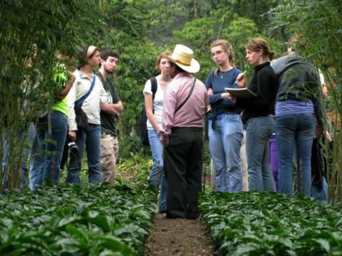 Guatemala & Costa Rica Sem: Spanish & Activism (Gap Year — photo 1