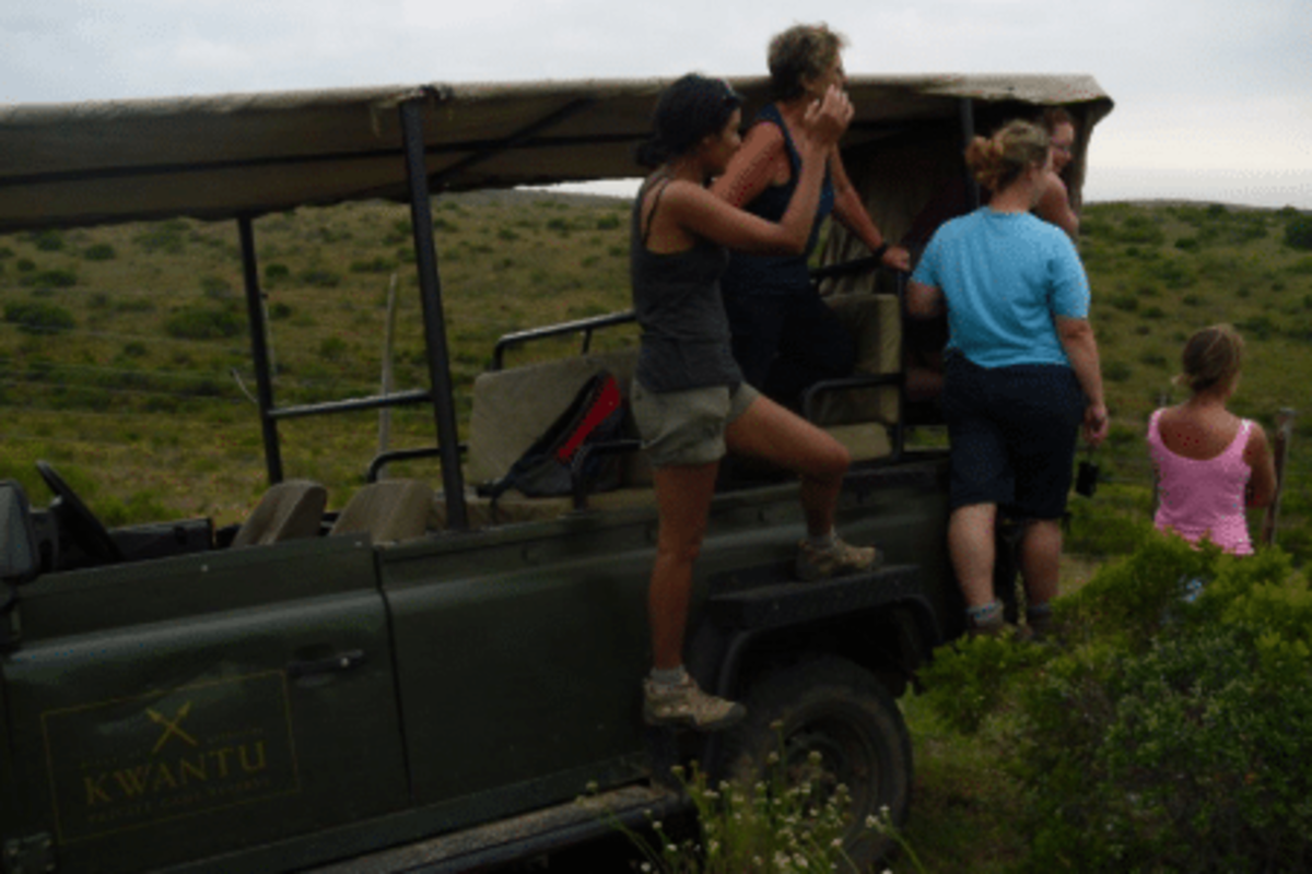 family in a truck at the safari