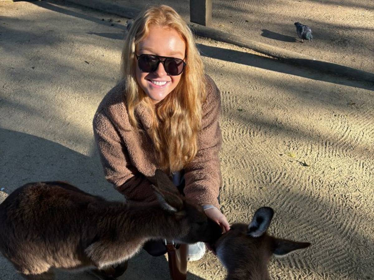 Feeding Kangaroos