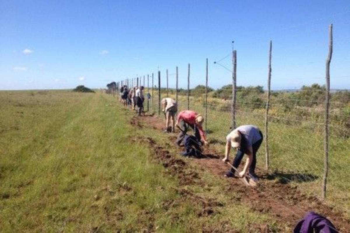 fixing the fence