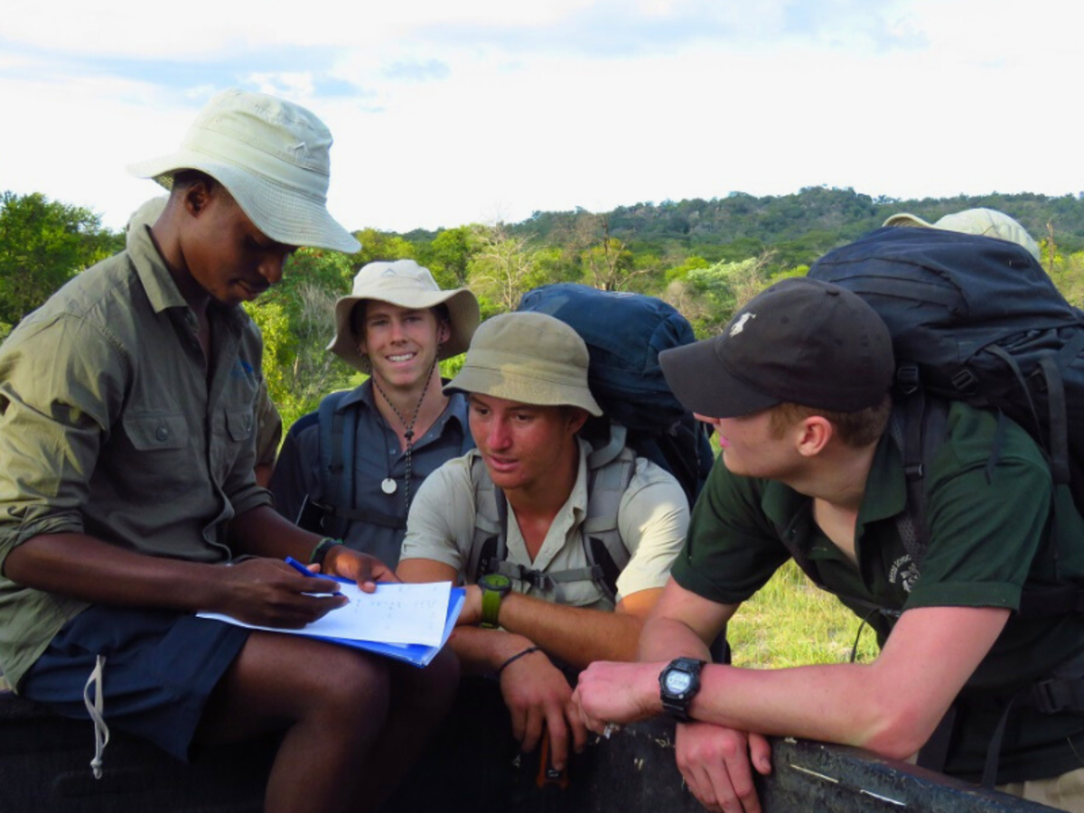 Four hikers with backpacks gather in a sunny, green landscape. One writes on paper, while others watch, conveying teamwork and exploration.