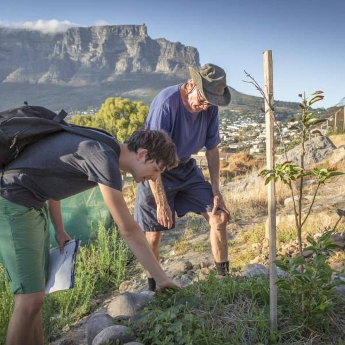 Environmental internship Cape Town