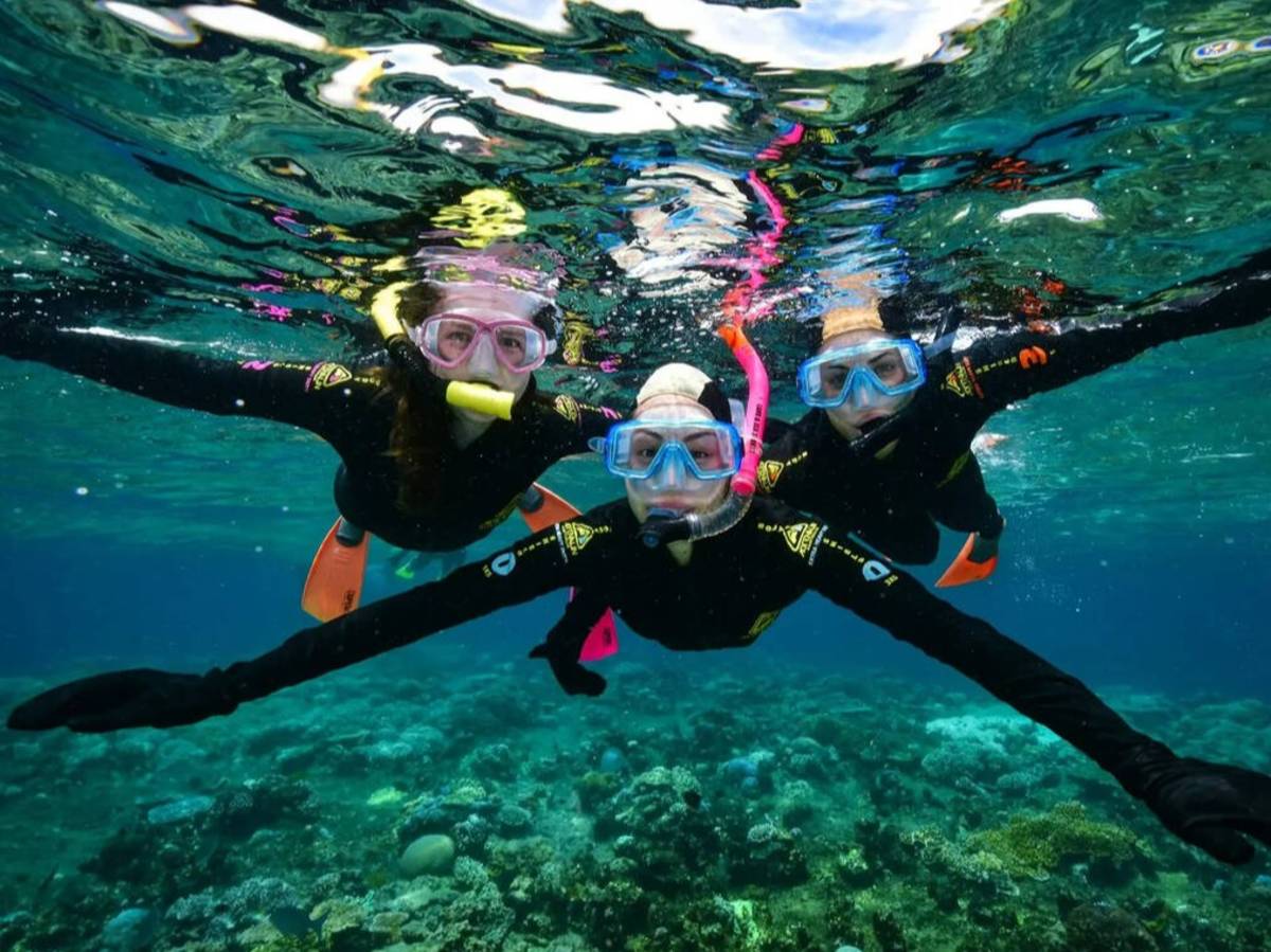Great Barrier Reef Fun