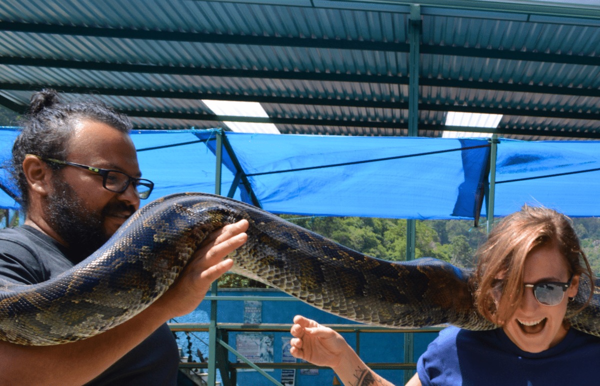Guatemala – Tropical Wildlife Rescue Center