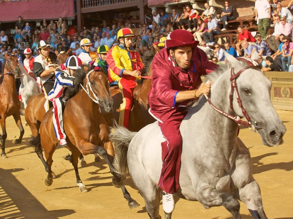 Horses for the Palio Race