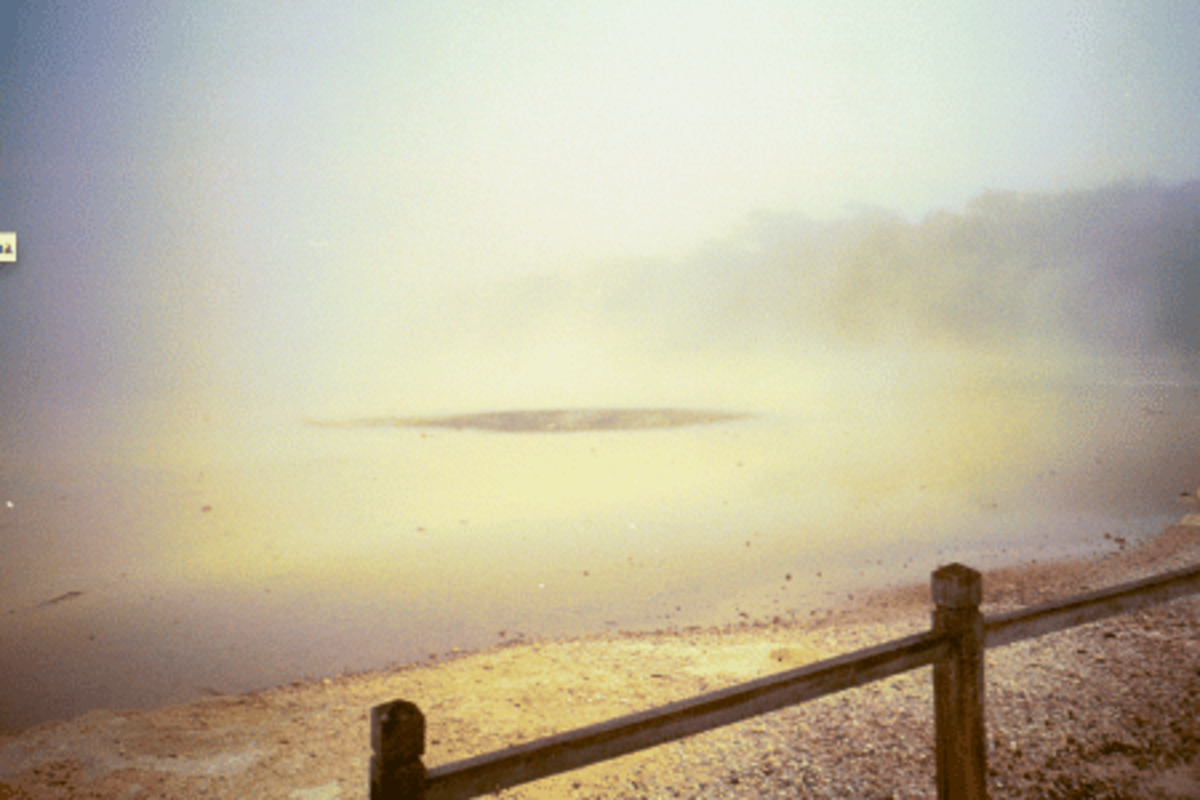 Hot spring Environmental Conservation North Island in New Zealand
