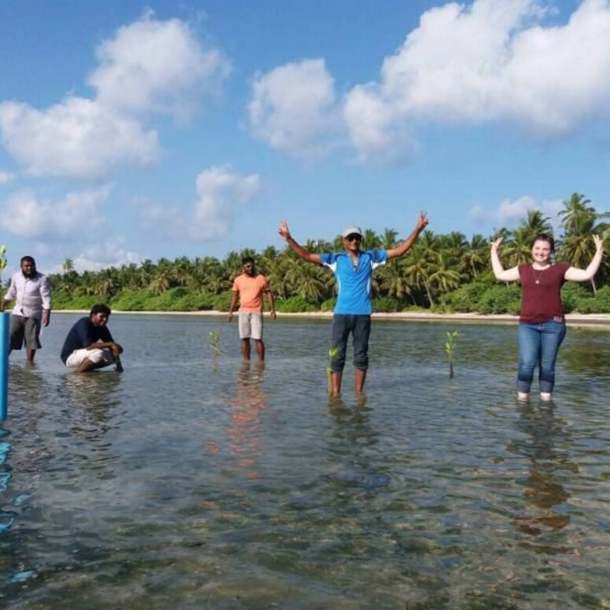 Volunteer in Conservation