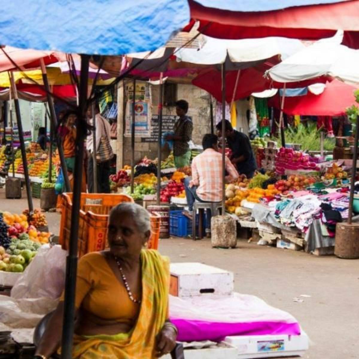 GoEco India - Road Trip India