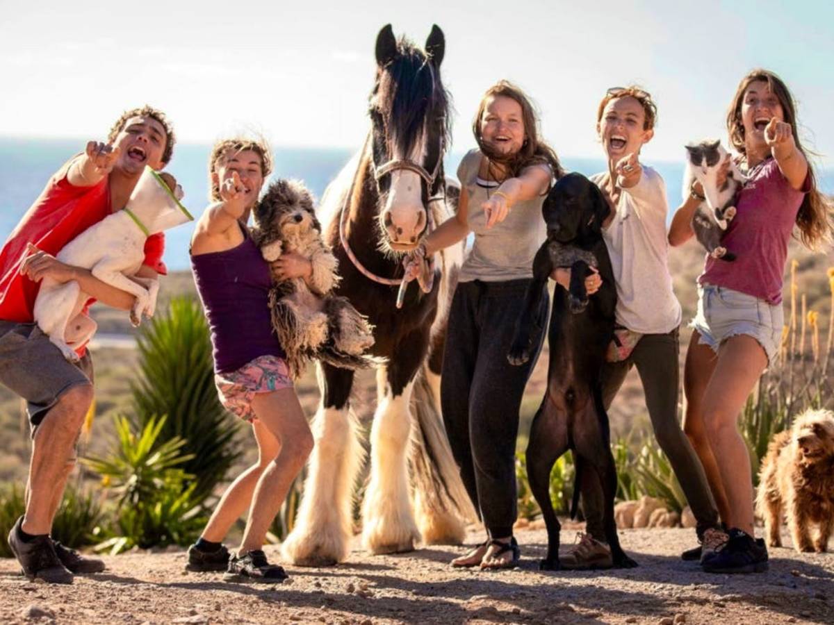 International volunteers with animals