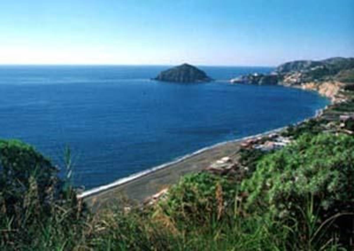 GoEco Italy - Dolphin and Marine Research