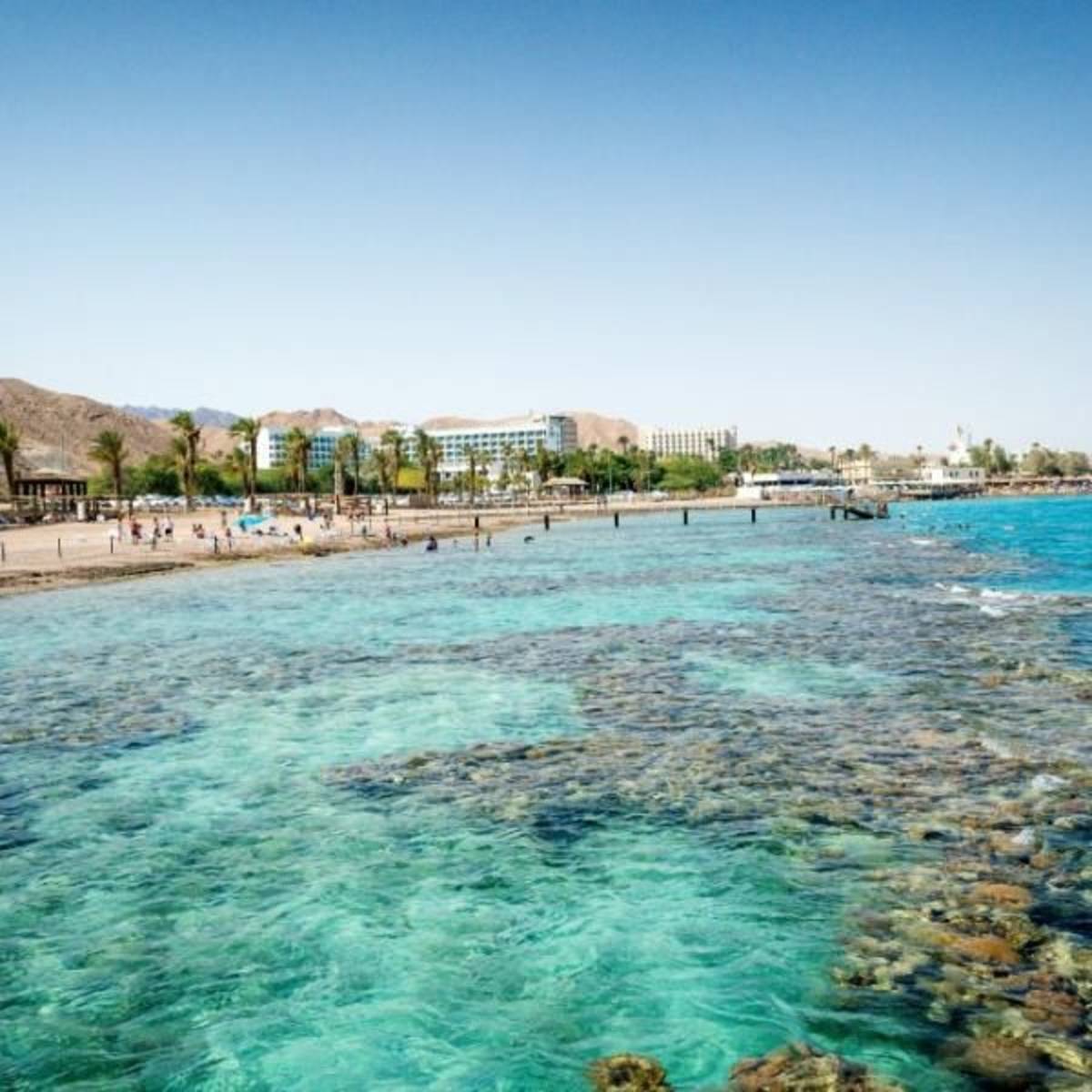 GoEco Israel - Coral Reef Conservation