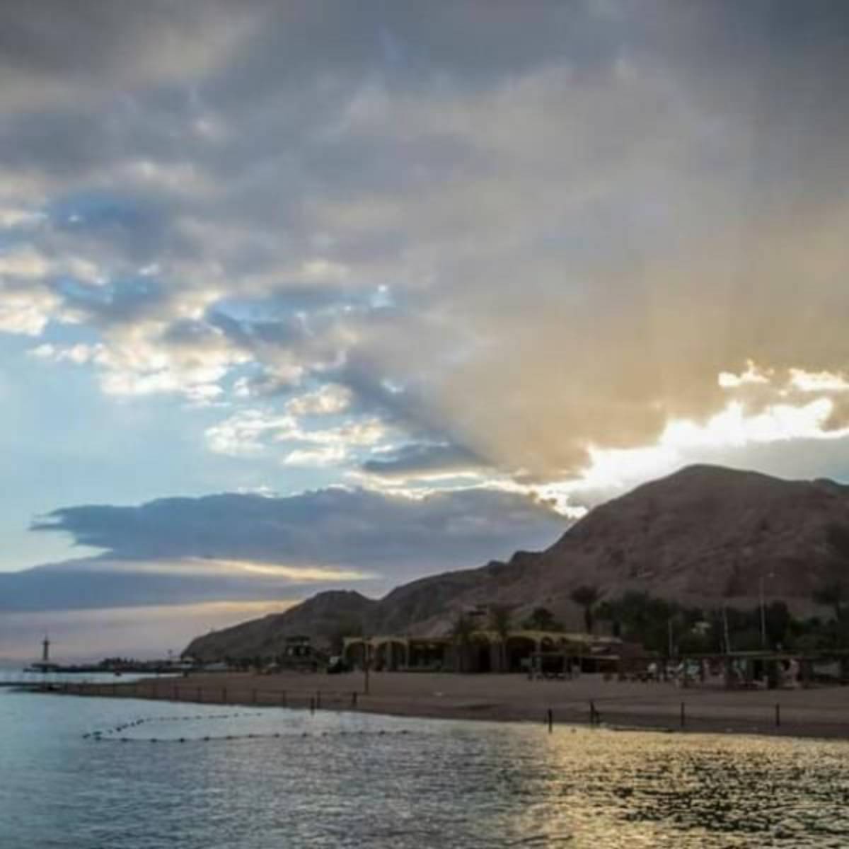 GoEco Israel - Coral Reef Conservation