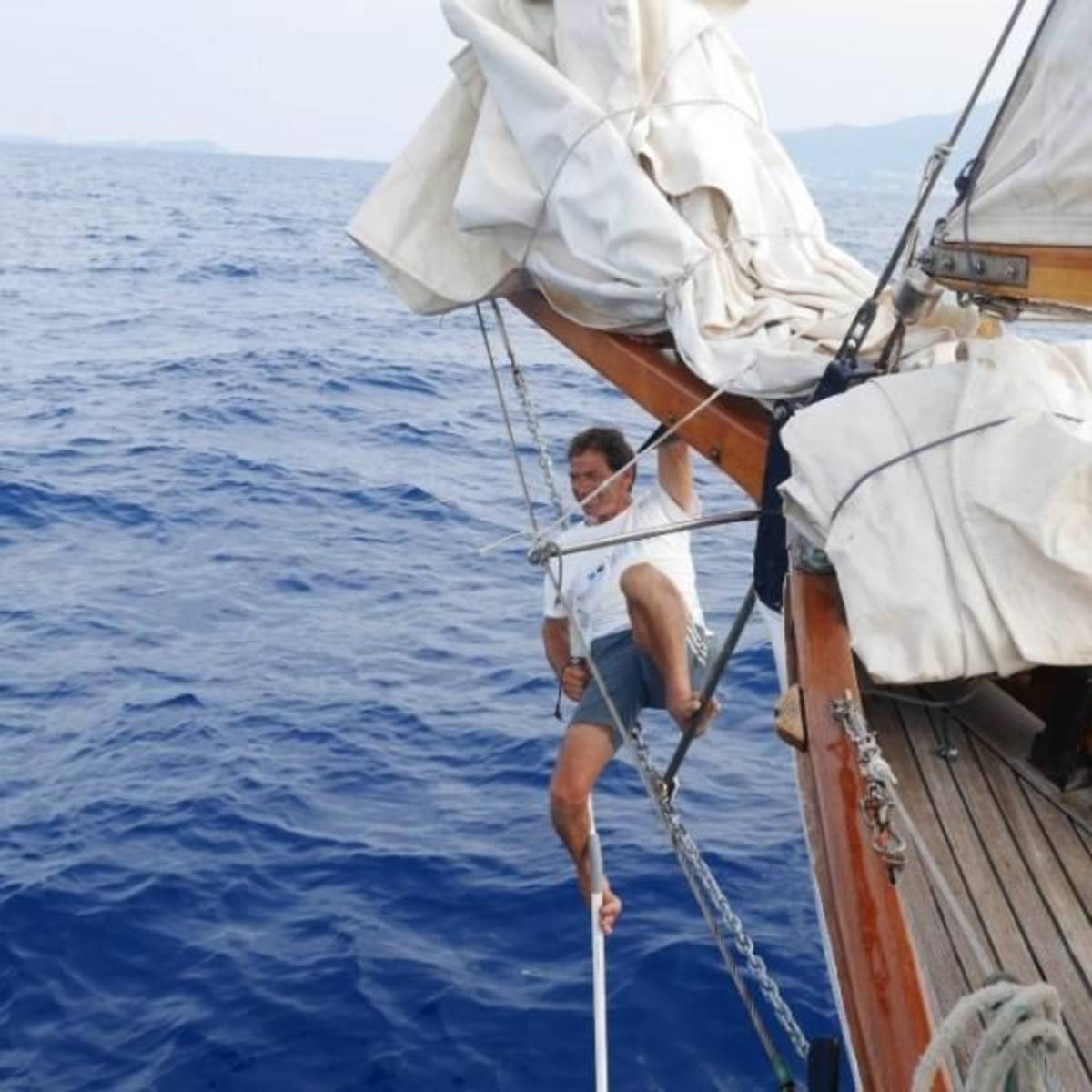 GoEco Italy - Dolphin and Marine Research