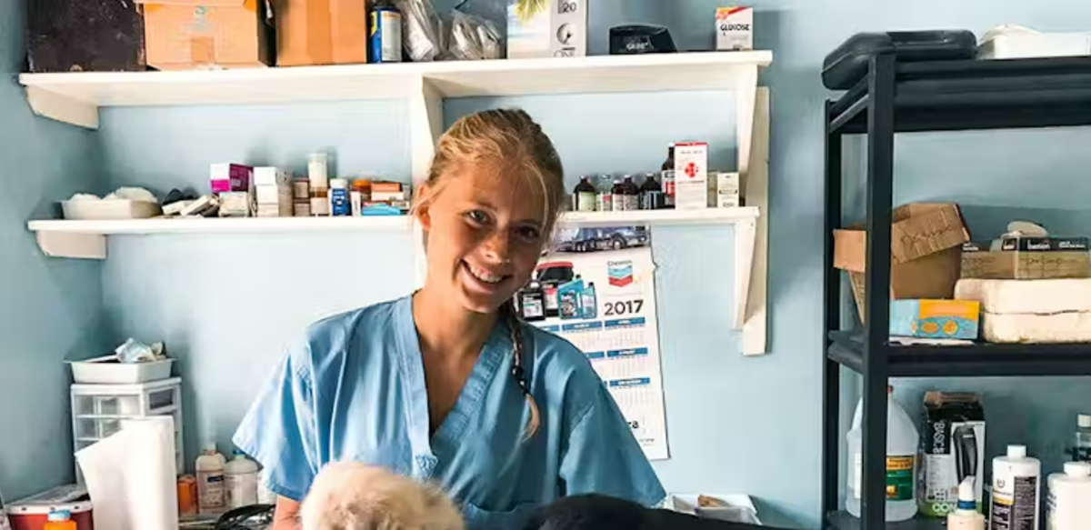 IVHQ Volunteer Assisting with Animal Care in Jamaica