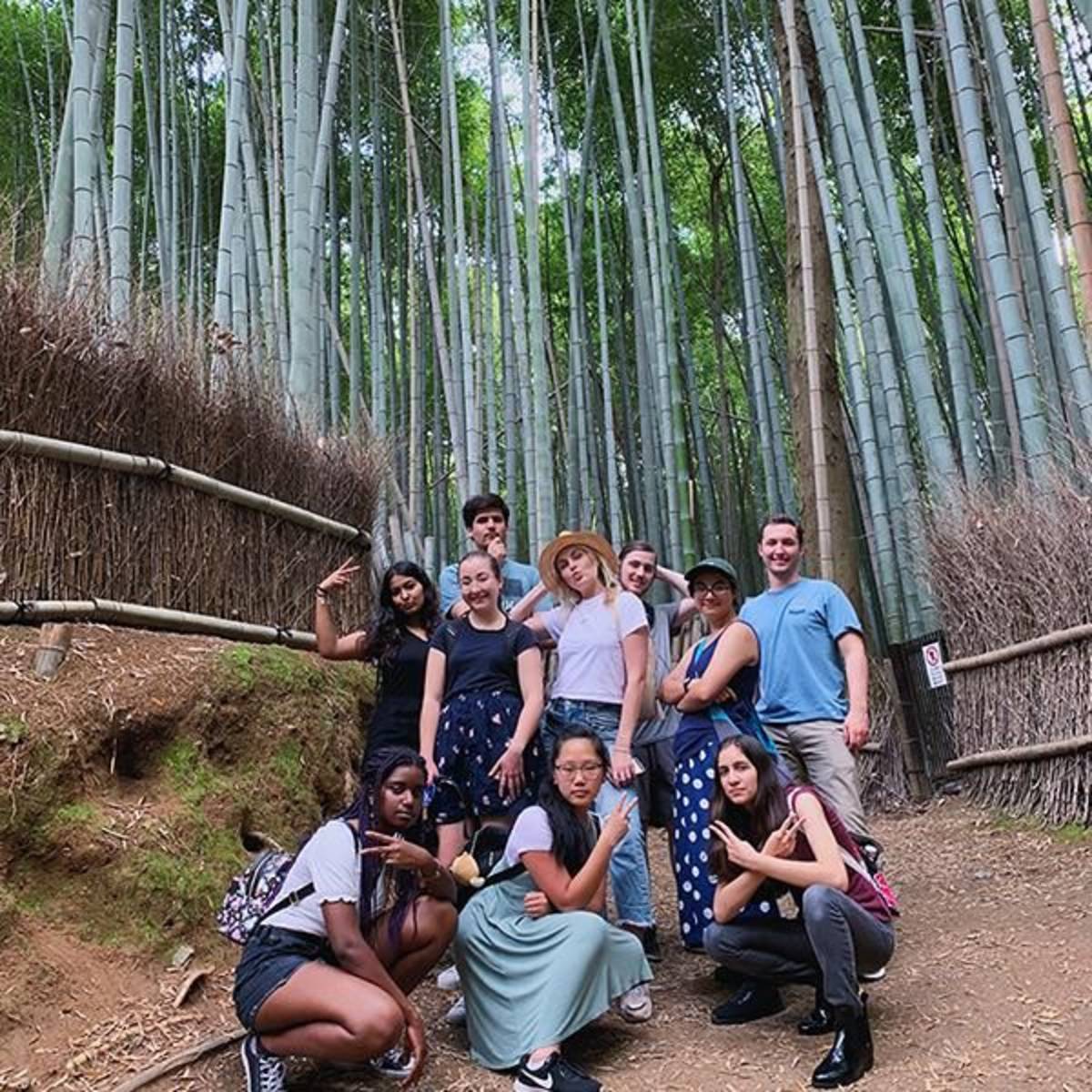 Field Trip to Kyoto Forest