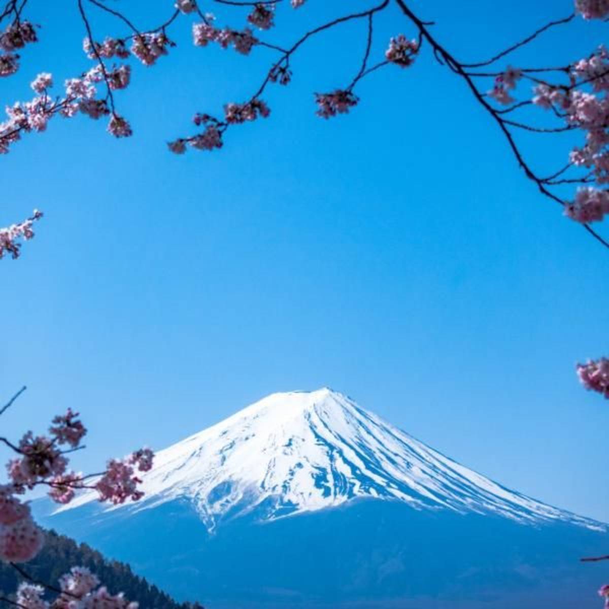 Japan Interns