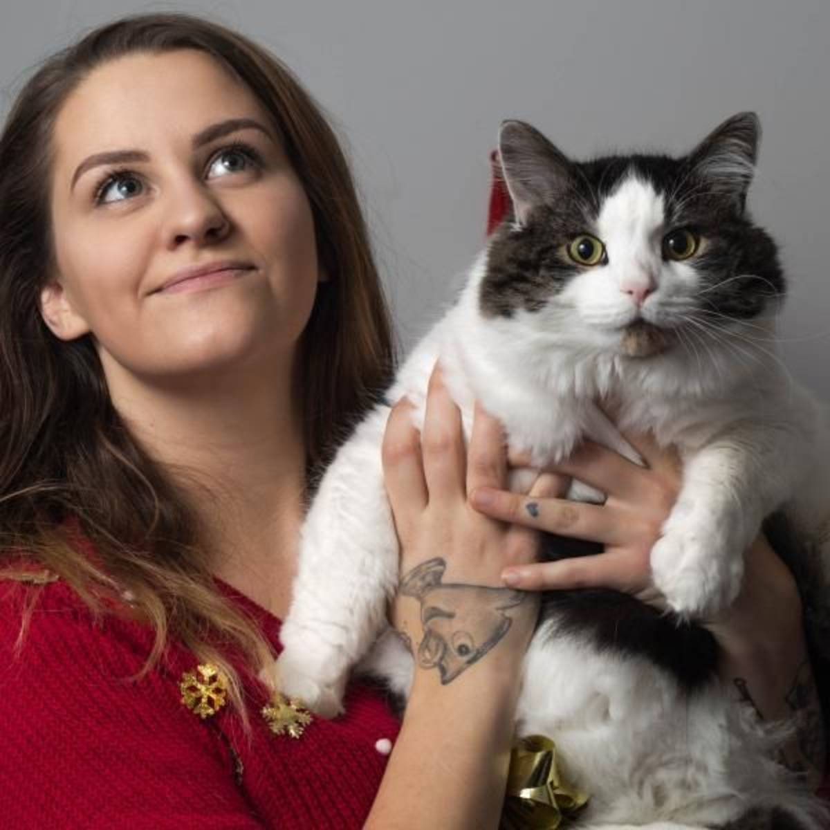 Animal Care Internship