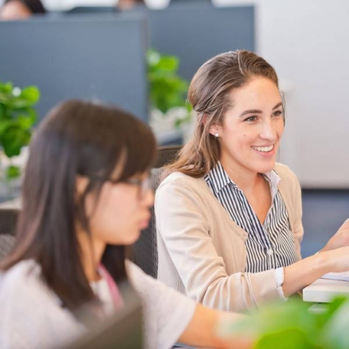 Absolute Internship Tokyo
