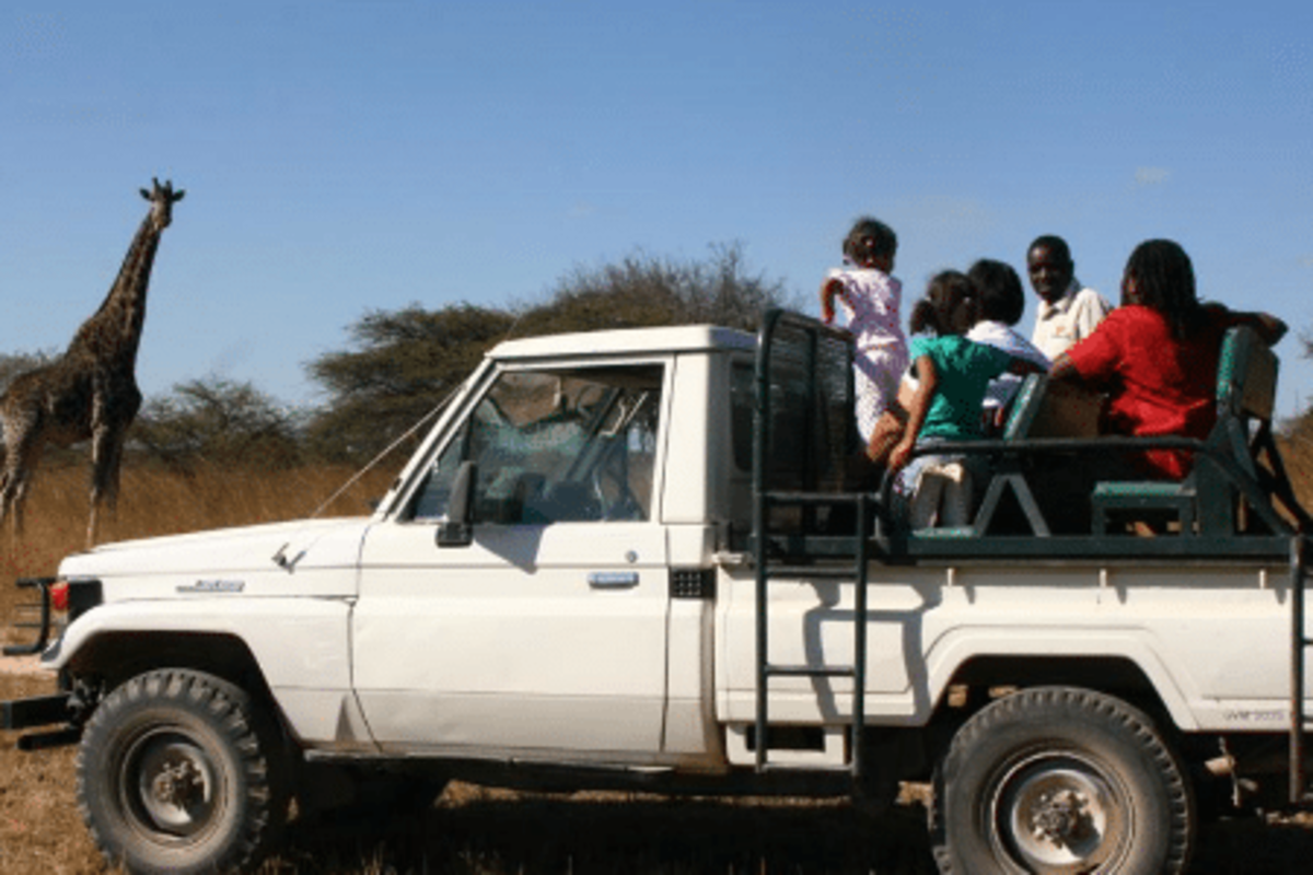 Safari vehicles in Victoria Falls Lion Rehabilitation in Zimbabwe