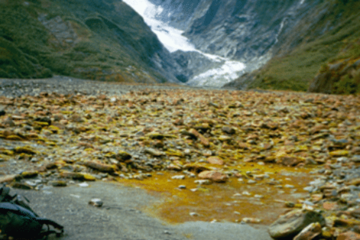 Landscape